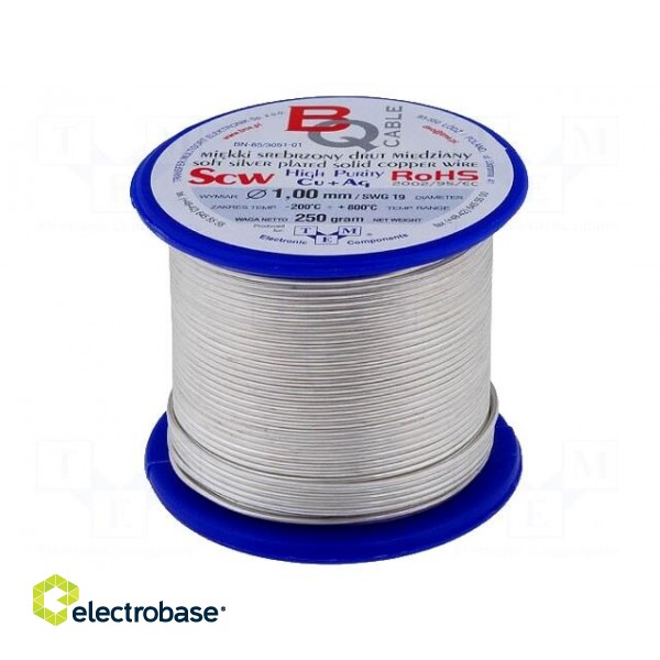 Silver plated copper wires | 1mm | 250g | 36m | -200÷800°C