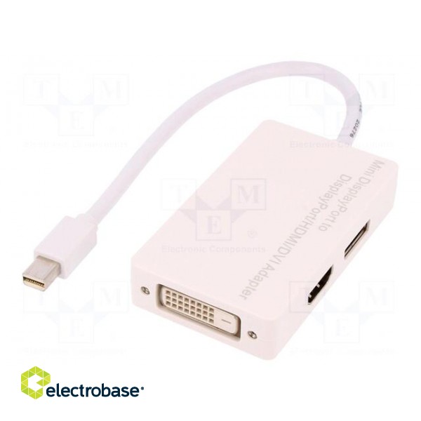 Adapter | DisplayPort 1.1a | Colour: white