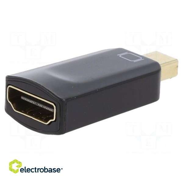 Adapter | DisplayPort 1.2,HDMI 1.3 | black фото 1