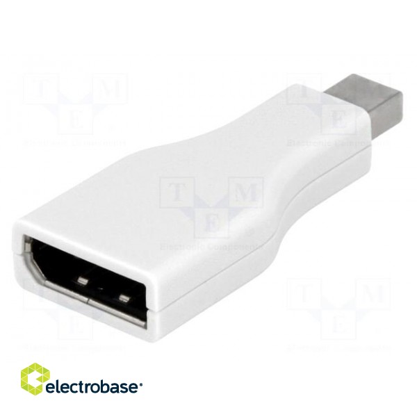 Adapter | DisplayPort socket,mini DisplayPort plug image 1
