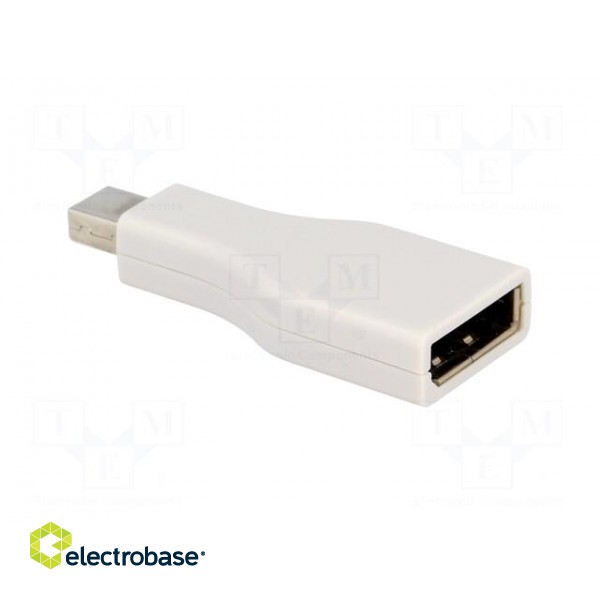 Adapter | DisplayPort socket,mini DisplayPort plug image 8