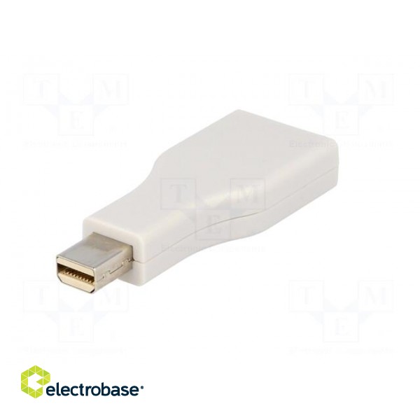 Adapter | DisplayPort socket,mini DisplayPort plug image 6