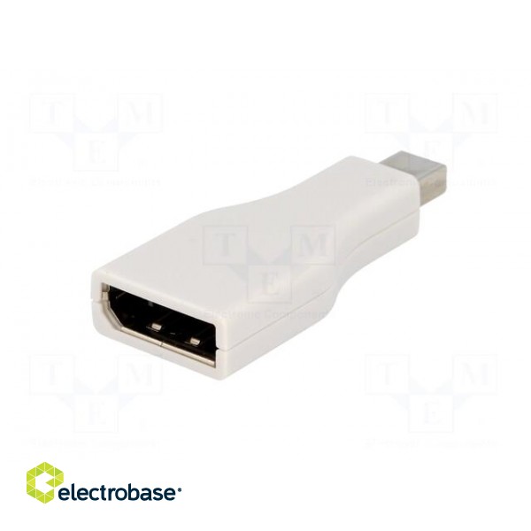 Adapter | DisplayPort socket,mini DisplayPort plug image 2