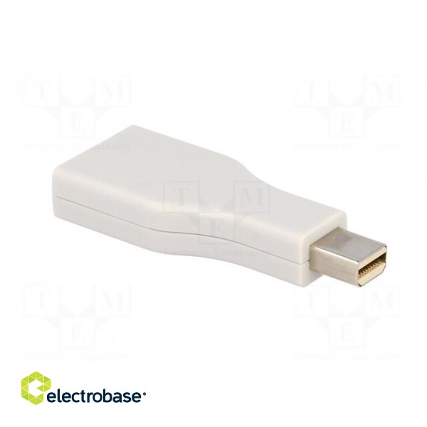 Adapter | DisplayPort socket,mini DisplayPort plug image 4