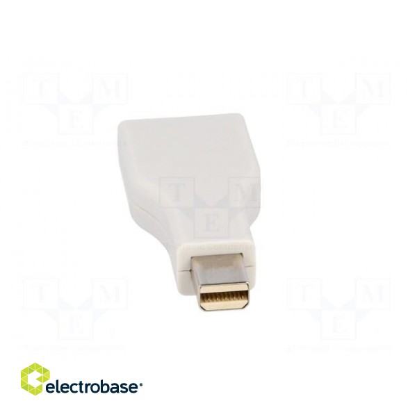 Adapter | DisplayPort socket,mini DisplayPort plug image 5
