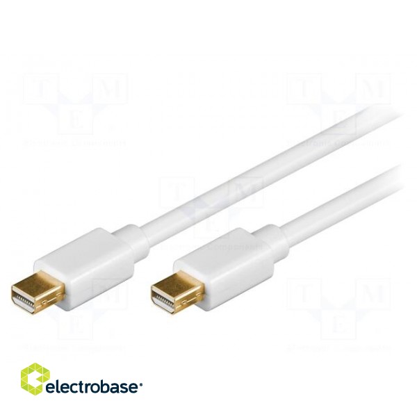 Cable | DisplayPort 1.2 | mini DisplayPort plug,both sides | 3m