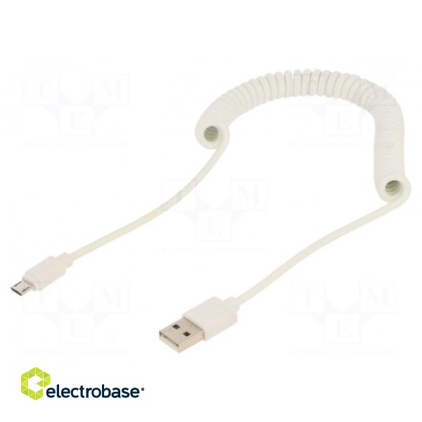 Cable | coiled,USB 2.0 | USB A plug,USB B micro plug | gold-plated