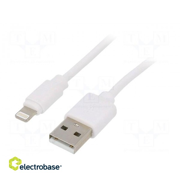 Cable | USB 2.0 | Apple Lightning plug,USB A plug | 2m | white | PVC