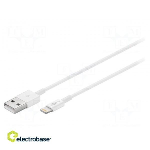 Cable | USB 2.0 | USB A plug,Apple Lightning plug | 0.5m | white