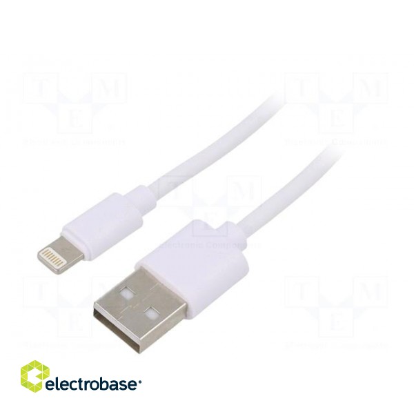 Cable | USB 2.0 | Apple Lightning plug,USB A plug | nickel plated