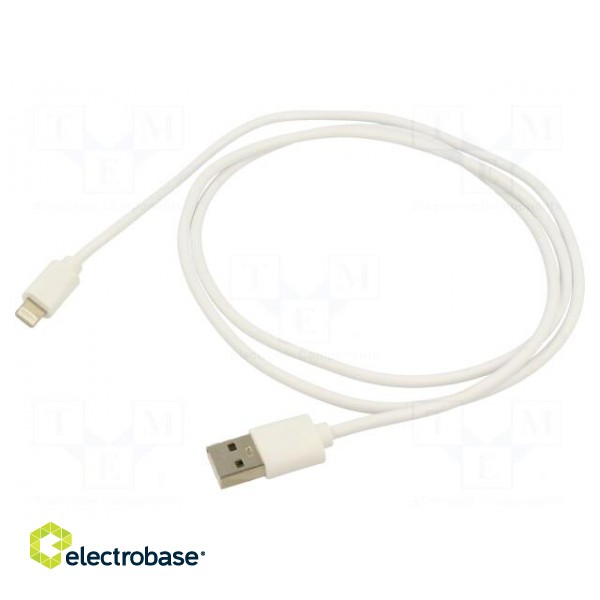 Cable | USB 2.0 | Apple Lightning plug,USB A plug | nickel plated