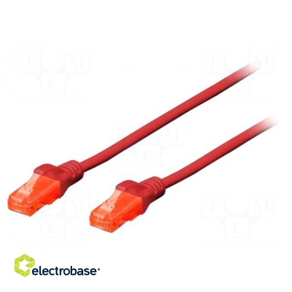 Patch cord | U/UTP | 5e | stranded | CCA | PVC | red | 0.25m | 26AWG image 2