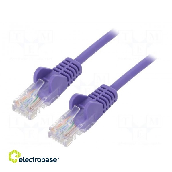 Patch cord | U/UTP | 5e | stranded | CCA | PVC | violet | 1m | 26AWG