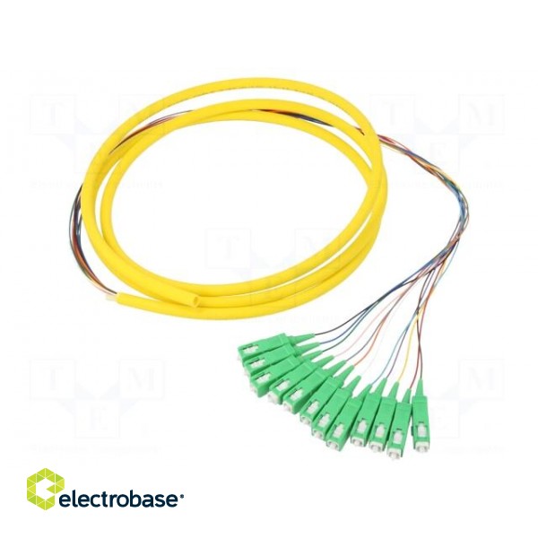 Optic fiber pigtail | SC/APC,fiber | 2m | Input: fiber x12