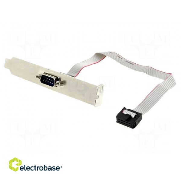 Adapter | D-Sub 9pin plug,10pin pin header | 0.25m
