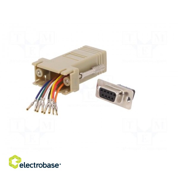Adapter | D-Sub 9pin socket,RJ45 socket paveikslėlis 2
