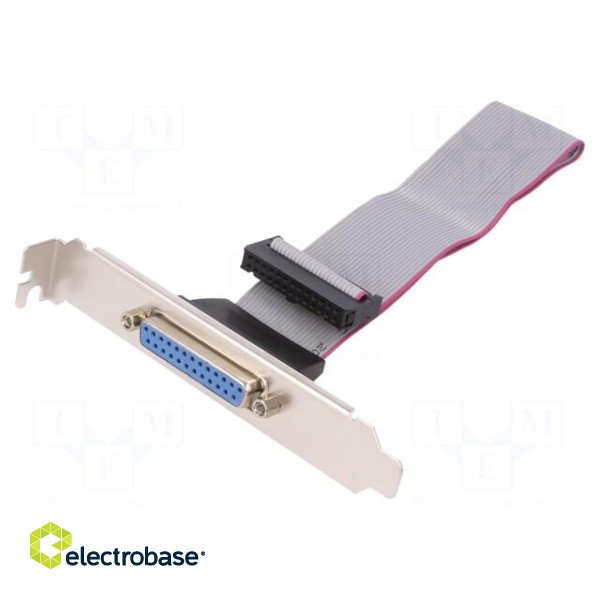 Cable | D-Sub 25pin female,IDC socket 26pin | 250mm | beige