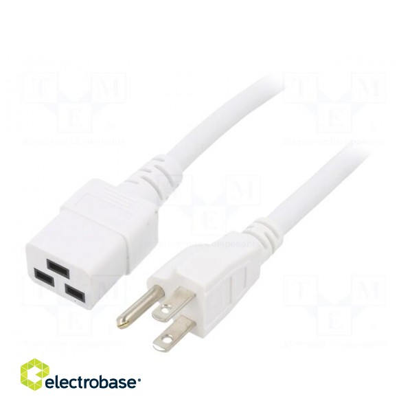 Cable | 3x14AWG | IEC C19 female,NEMA 5-15 (B) plug | PVC | 1.8m