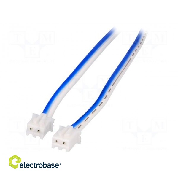 Cable | both sides,XHP-2 | blue/white | 0.3m | 22AWG