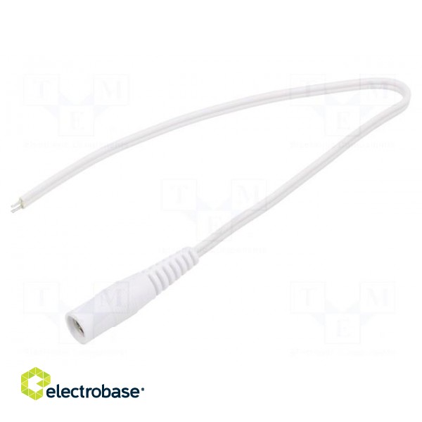 Cable | 2x0.35mm2 | wires,DC 5,5/2,1 socket | straight | white | 0.25m