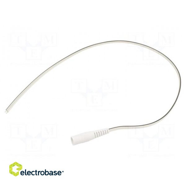 Cable | 2x0.5mm2 | wires,DC 5,5/2,1 socket | straight | white | 0.5m