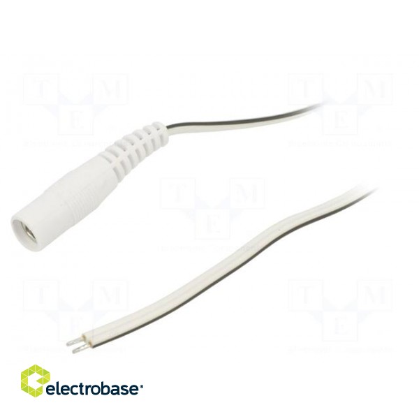 Cable | 2x0.5mm2 | wires,DC 5,5/2,1 socket | straight | white | 1.5m