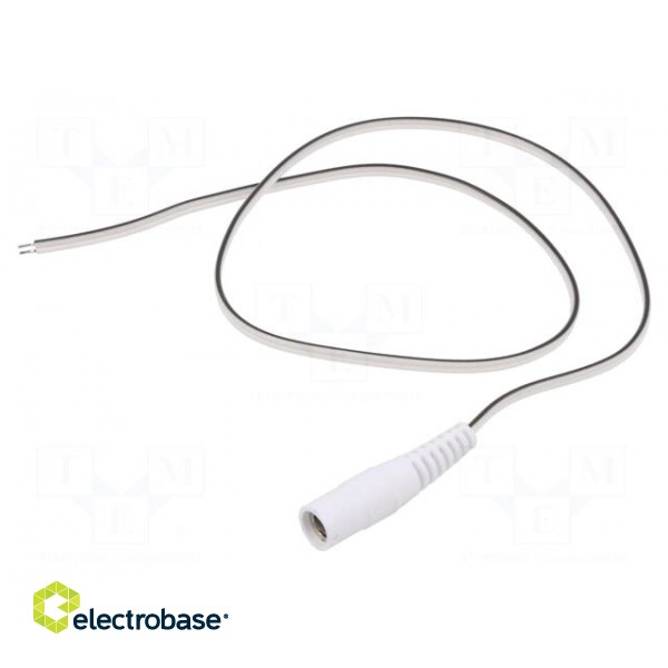 Cable | 2x0.35mm2 | wires,DC 5,5/2,5 socket | straight | white | 0.5m