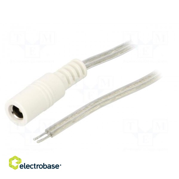 Cable | 2x0.5mm2 | wires,DC 5,5/2,5 socket | straight | transparent