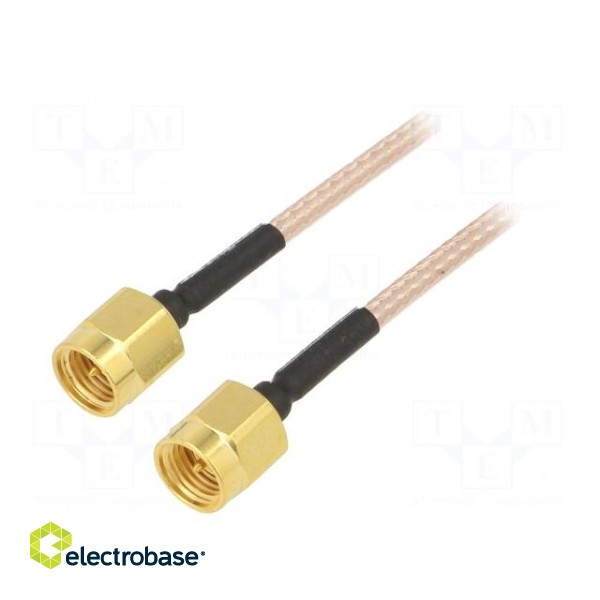 Cable | 50Ω | 1.22m | SMA male,both sides | shielded | transparent image 1