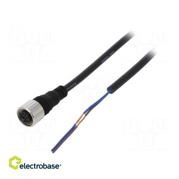 Connection lead | M12 | PIN: 2 | straight | 2m | plug | Insulation: PVC