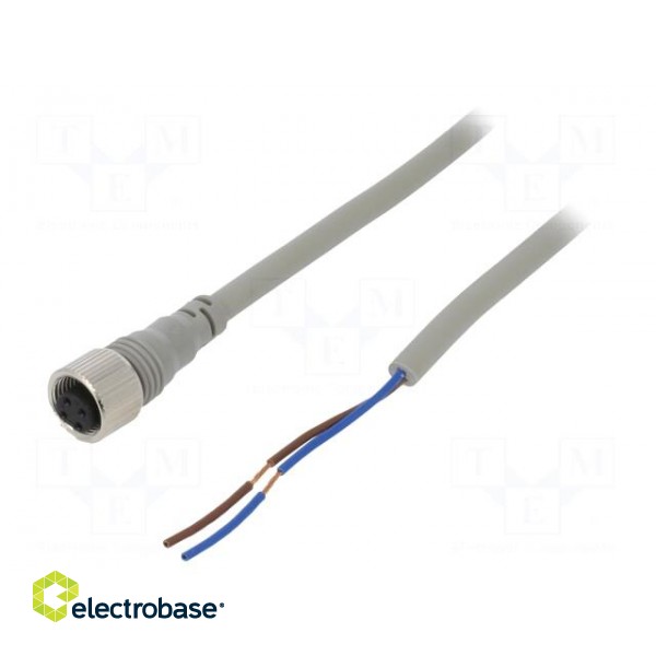 Connection lead | M12 | PIN: 2 | straight | 2m | plug | Wire colour: black