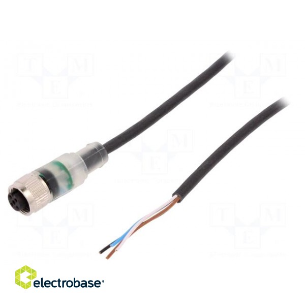 Connection lead | M12 | PIN: 4 | straight | 10m | plug | 24VAC | 4A | 24VDC