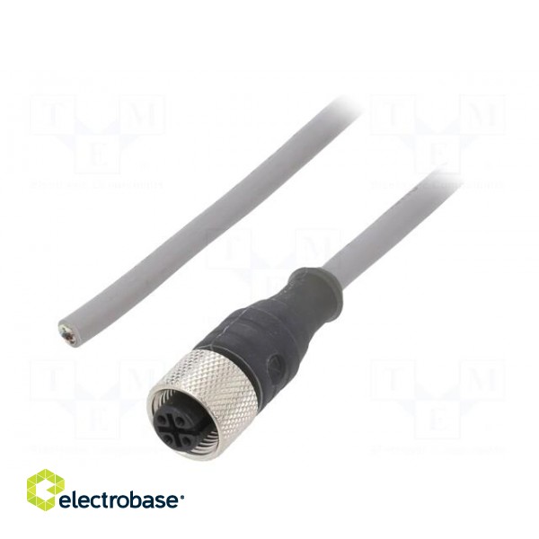 Connection lead | M12 | PIN: 4 | straight | 1m | plug | 250VAC | 2.5A | PVC
