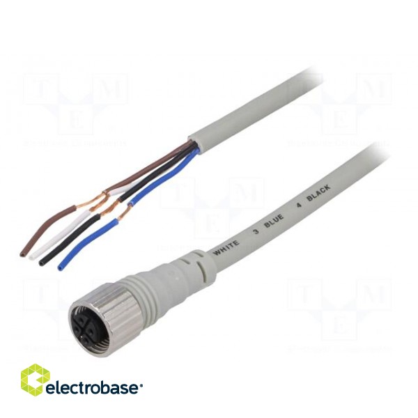 Connection lead | M12 | PIN: 4 | straight | 5m | plug | Wire colour: black