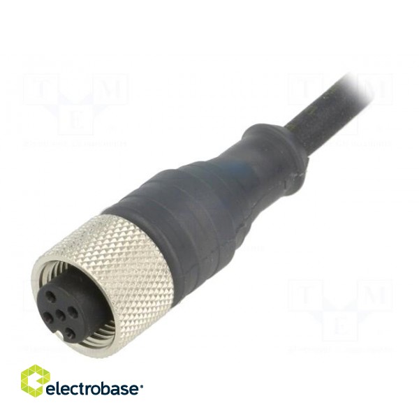 Connection lead | M12 | PIN: 5 | straight | 10m | plug | 24VAC | 4A | IP67