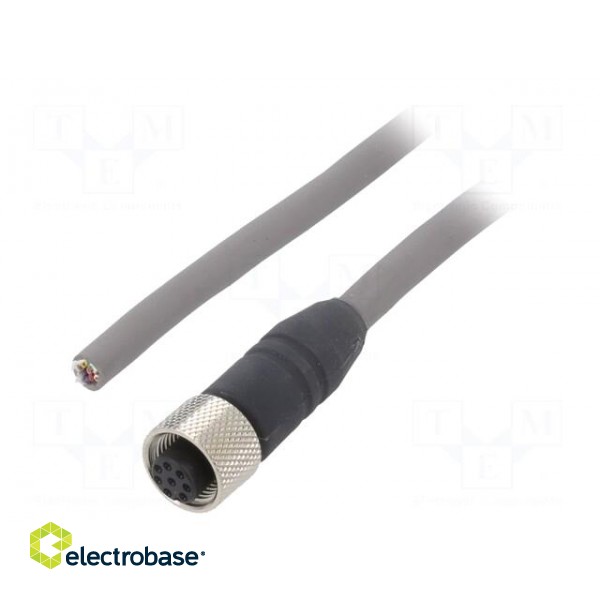 Connection lead | M12 | PIN: 8 | straight | 5m | plug | 36VAC | 2.2A | IP67