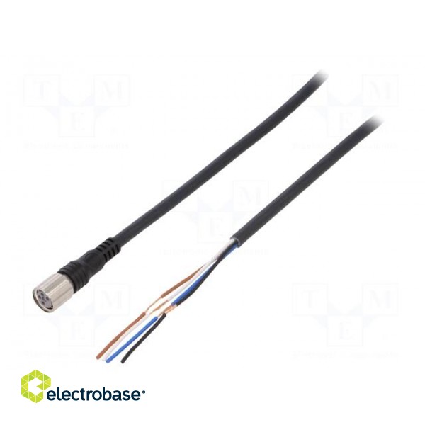 Connection lead | M8 | PIN: 4 | straight | 5m | plug | 1A | -25÷70°C | IP67