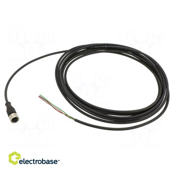 Connection lead | UNF 1/2-20 | PIN: 3 | straight | 5m | plug | 250VAC | 4A