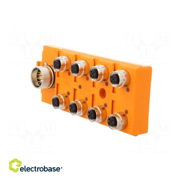 Distribution box | M12 | PIN: 5 | socket | 4A | ASBS | -15÷80°C | IP67 | IN: 8 paveikslėlis 4