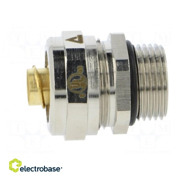 Straight terminal connector | Thread: metric,inside | brass | IP40 image 3