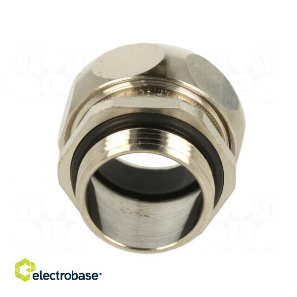 Straight terminal connector | Thread: PG,outside | brass | IP65 фото 5