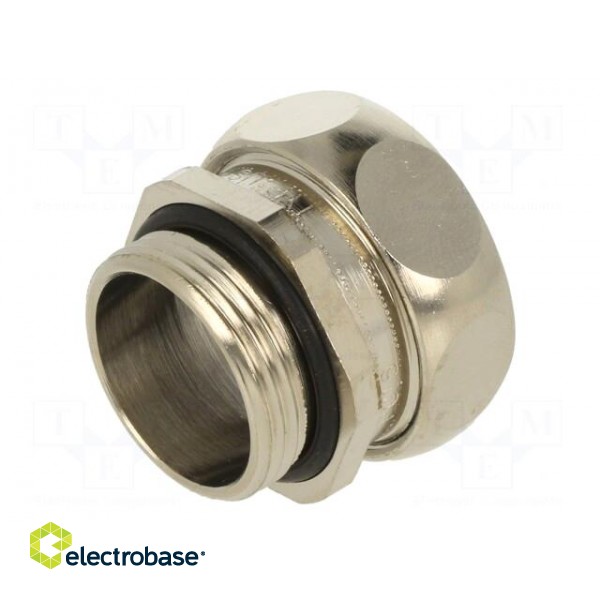 Straight terminal connector | Thread: PG,outside | brass | IP65 image 6