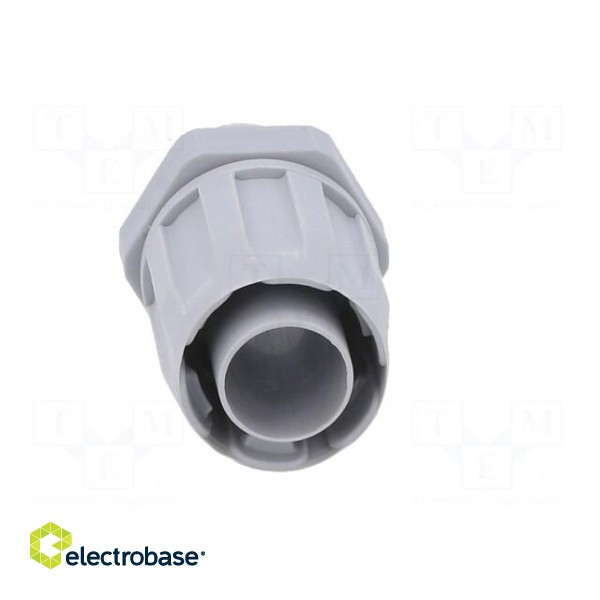 Straight terminal connector | Thread: PG,outside | polypropylene image 9