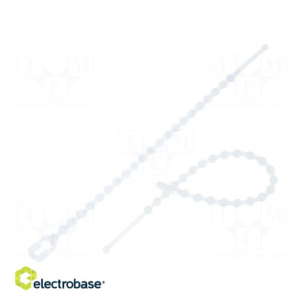 Cable tie | coral,multi use | L: 100mm | polyamide | natural | 100pcs.