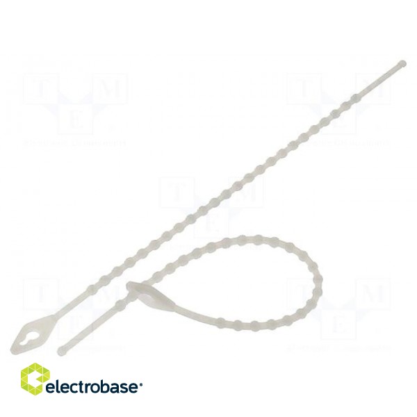 Cable tie | coral,multi use | L: 150mm | polyamide | natural | 100pcs.