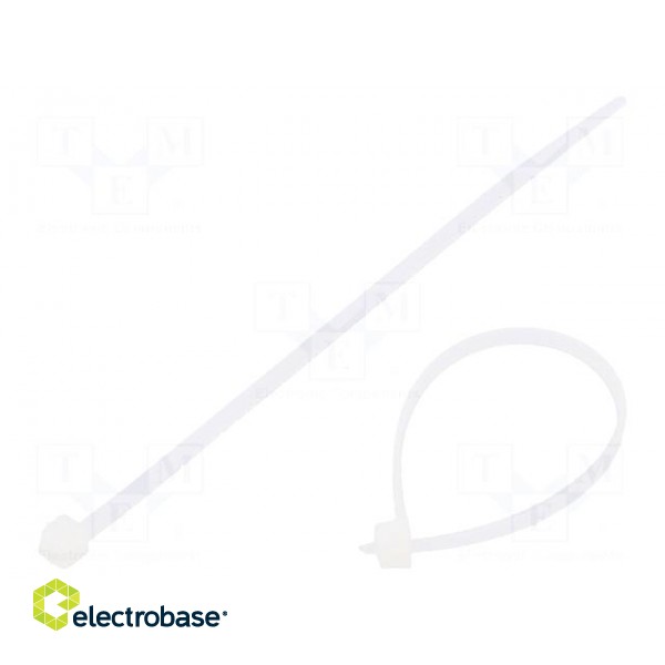 Cable tie | L: 100mm | W: 2.5mm | polyamide | 80N | natural | Ømax: 20.5mm