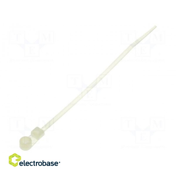 Cable tie | with a hole for screw mounting | L: 113mm | W: 2.5mm