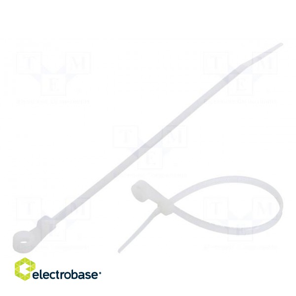Cable tie | with a hole for screw mounting | L: 170mm | W: 3.6mm