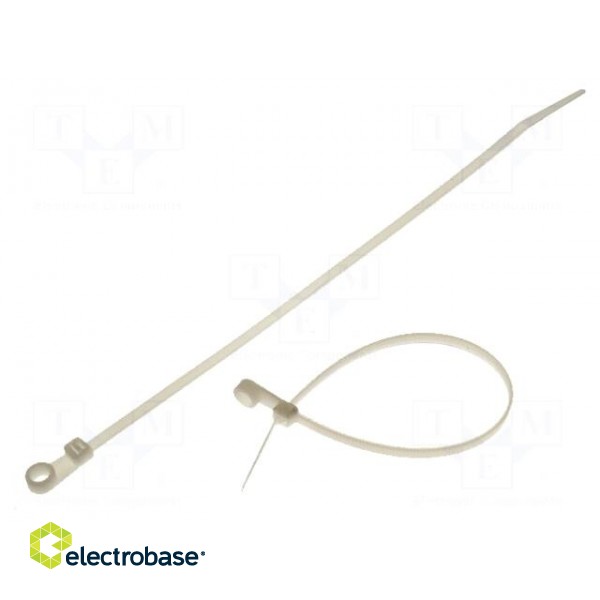 Cable tie | with a hole for screw mounting | L: 221.3mm | W: 4.2mm