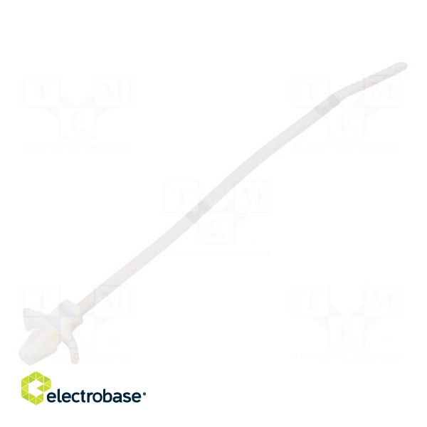 Cable tie | with fixing lugs | L: 109mm | W: 2.5mm | polyamide | 80N
